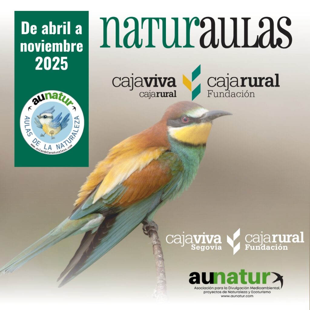 NATURAULAS 1080X1080